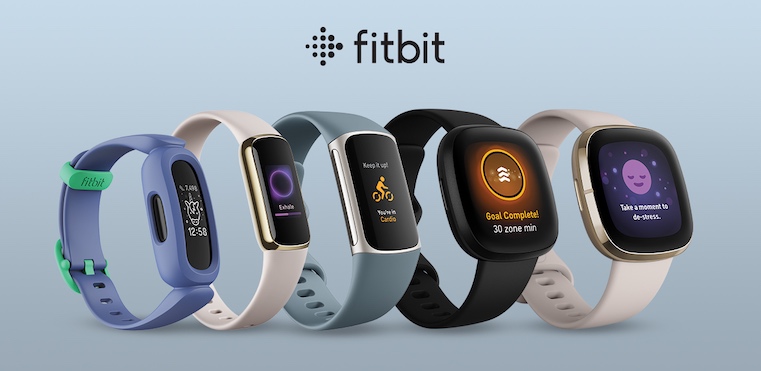 Fitbit pitch overview with models