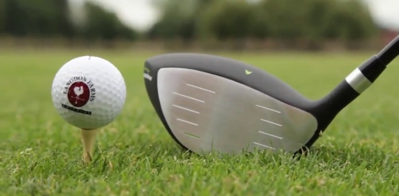 PGX Offset Golf Driver design. It's a sleek and stylish driver.